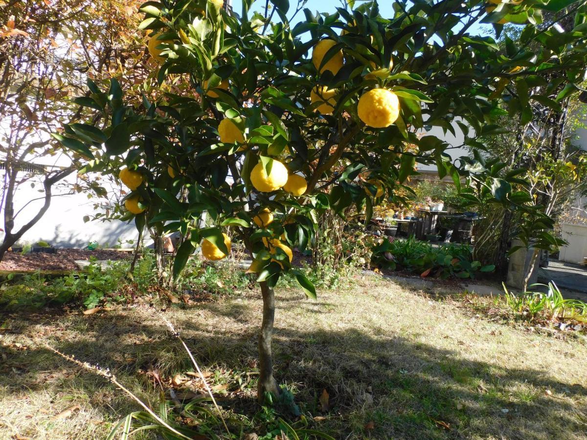 伊豆高原 温泉付別荘 Isana Mountain Villa Futo Bagian luar foto