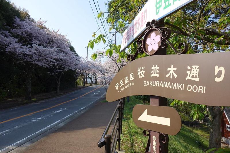 伊豆高原 温泉付別荘 Isana Mountain Villa Futo Bagian luar foto