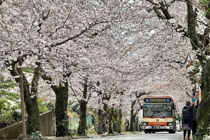 伊豆高原 温泉付別荘 Isana Mountain Villa Futo Bagian luar foto