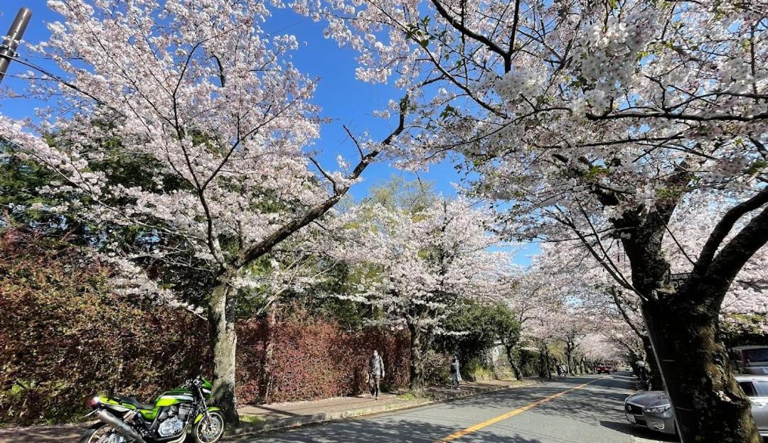 伊豆高原 温泉付別荘 Isana Mountain Villa Futo Bagian luar foto