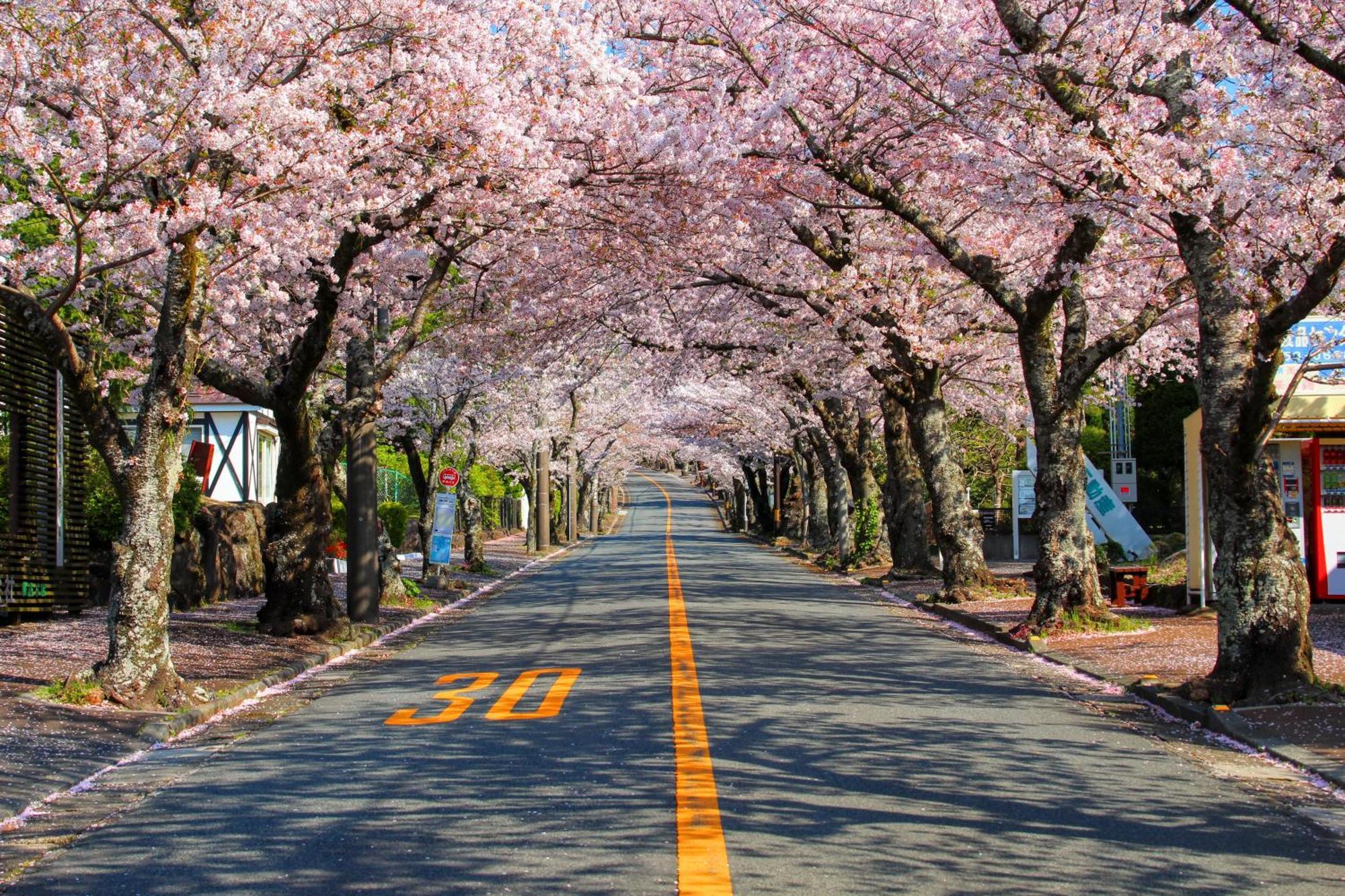 伊豆高原 温泉付別荘 Isana Mountain Villa Futo Bagian luar foto